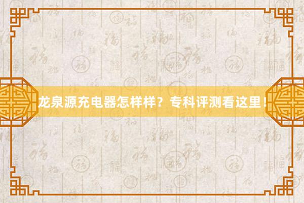 龙泉源充电器怎样样？专科评测看这里！